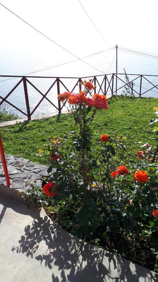 Casa Villa Dinastia Sotao Y Casa Villa Dinastia Miramar Рібейра-Брава Екстер'єр фото