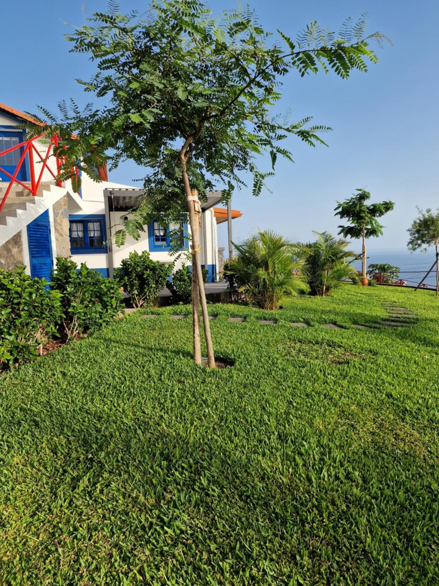 Casa Villa Dinastia Sotao Y Casa Villa Dinastia Miramar Рібейра-Брава Екстер'єр фото