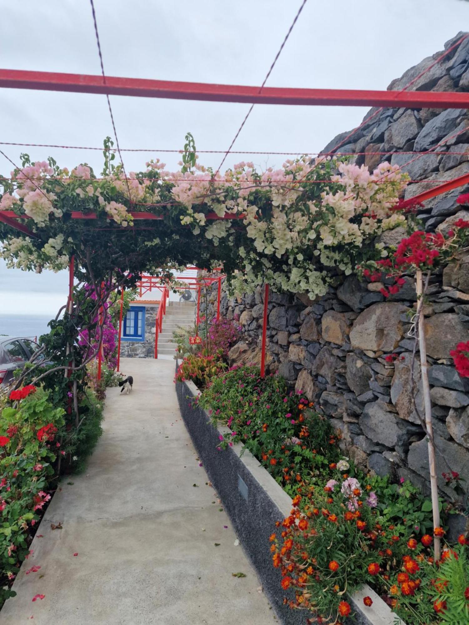 Casa Villa Dinastia Sotao Y Casa Villa Dinastia Miramar Рібейра-Брава Екстер'єр фото